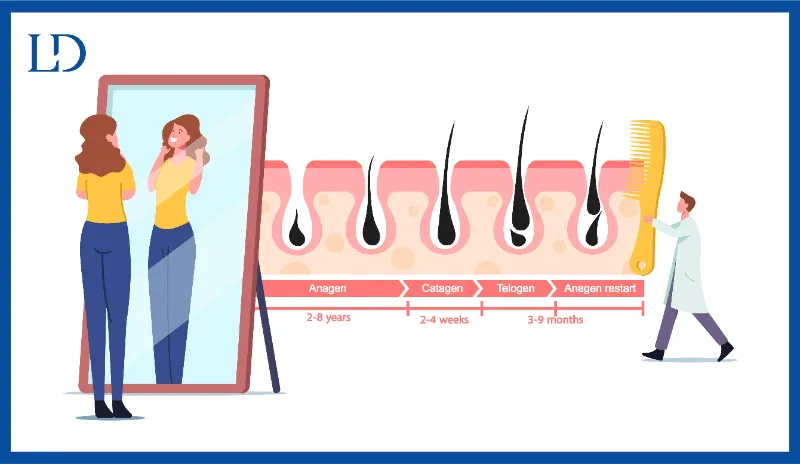 Types of Women's Hair Loss